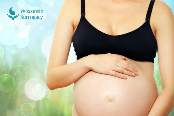 Surrogate Mothers Online